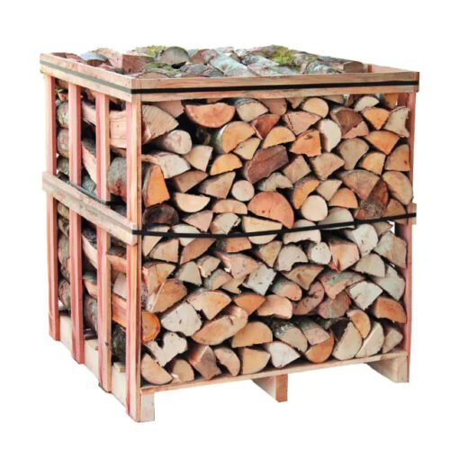 Combustibile di legno in faggio 1 m³